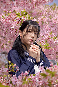 日系美女樱花写真图片