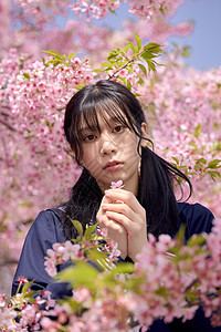 樱花树下日系美女樱花写真背景