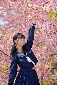 日系美女樱花写真图片