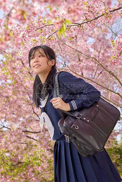 美女大学生逛游公园赏樱花图片