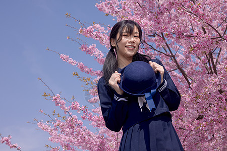 美女大学生逛游公园赏樱花背景图片