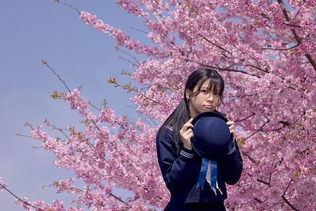 美女大学生逛游公园赏樱花图片