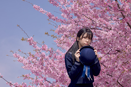 美女大学生逛游公园赏樱花背景图片