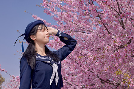 日系美女赏樱花写真图片