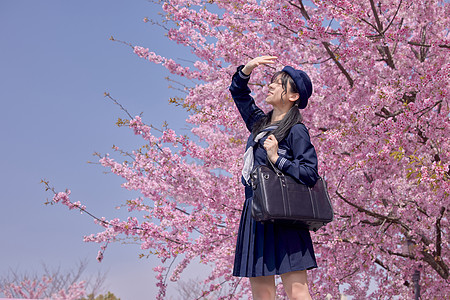 唯美少女美女大学生逛游公园赏樱花背景