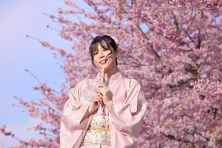 和服樱花图片