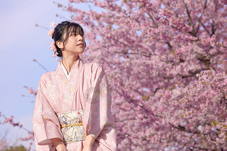 樱花树下樱花旁的和服美女拿着折扇背景