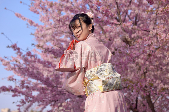 穿和服的樱花少女图片