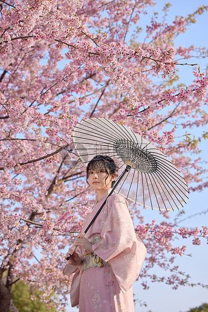 和服樱花美女撑伞图片