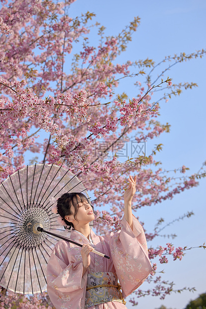 穿和服的樱花少女图片