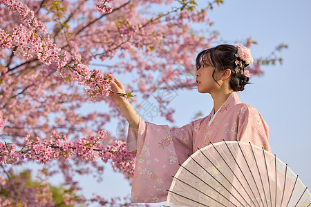 穿和服的樱花少女图片