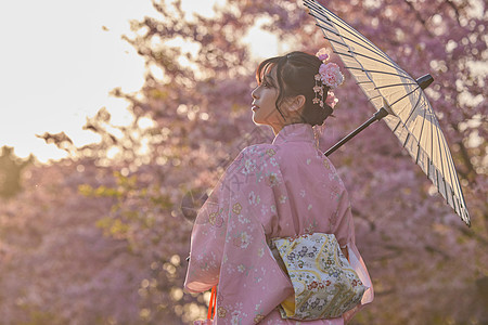 和服樱花美女撑伞背影高清图片