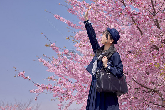 日系美女初春赏樱花图片