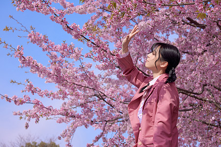 JK校服美女赏樱花背景图片