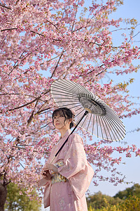 日系美女初春赏樱花图片