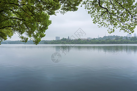 江南雨后玄武湖风光图片