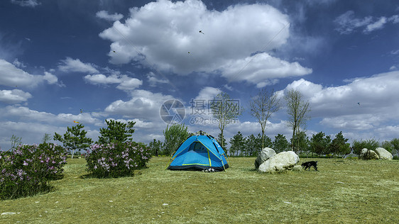 露营,内蒙古初夏户外帐篷人物郊游图片