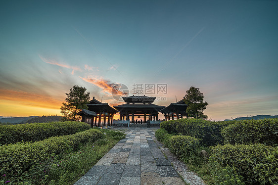 重庆白马山景区贡茶园风光图图片