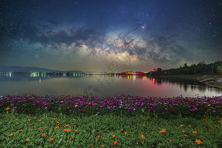 格桑花海星空银河图片