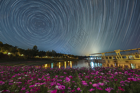 格桑花海星空银河图片