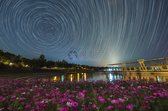 格桑花海星空银河图片