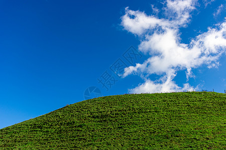 夏天清新唯美的湖南南山牧场图片