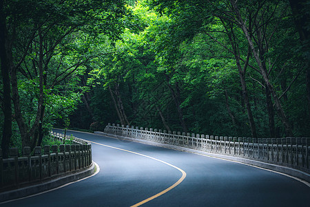 盼道寺南京钟山风景区灵谷寺路绿道背景