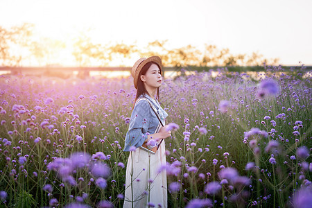 马鞭草花海里的少女图片