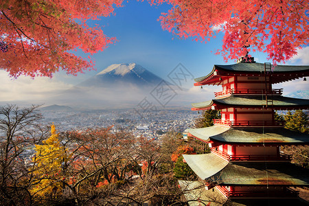 富士山红叶背景 富士山红叶摄影图片 富士山红叶壁纸 摄图网