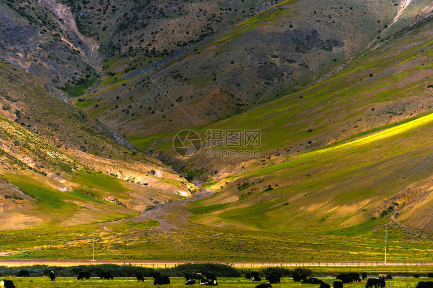 西部豪强掘金强势出击