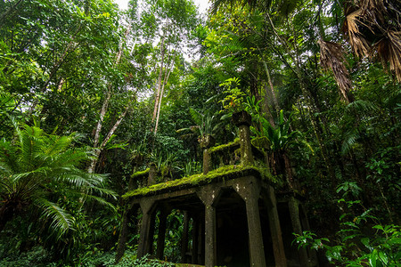 雨林遗迹图片素材