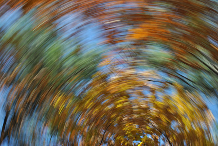 秋天的叶子旋流图片