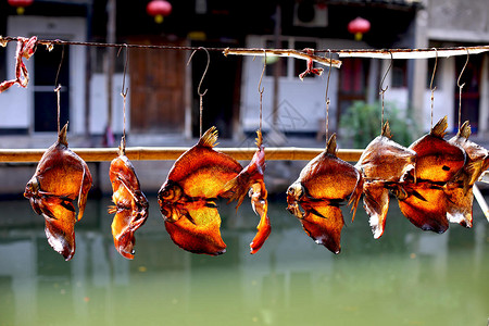 晒鱼干图片素材