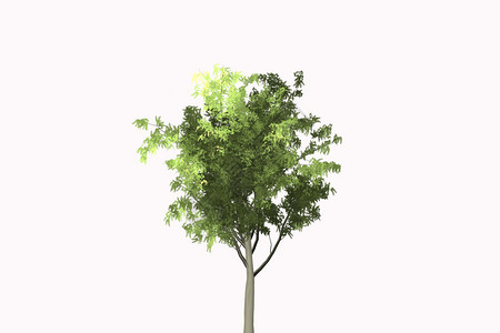 ps素材调淡抽象树木背景