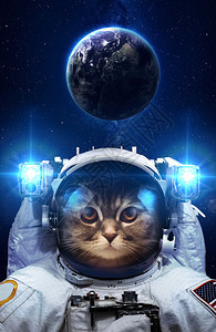 在外层空间只漂亮的猫这幅图像由美国航空航天局提供的元素图片