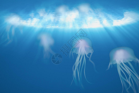 三维建模水母与蓝色海底背景图片
