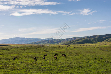 新疆伊犁那拉提大草原图片