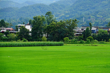 美丽乡村图片素材