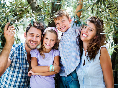 家庭温室在一棵树下的olivesin开心图片