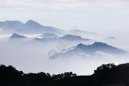 山与树和雾的单色彩色图片