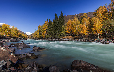 新疆哈密松树塘图片