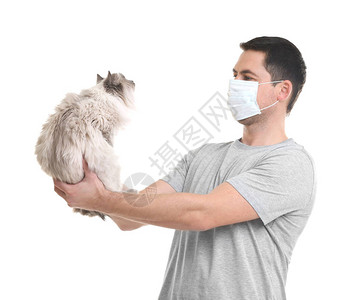 动物过敏概念英俊的男人与白色背景上的猫图片