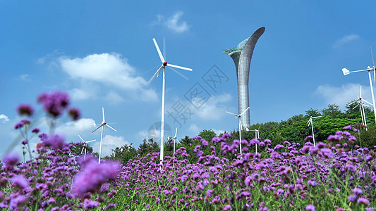 5A景区沈阳植物园高塔和风车背景图片