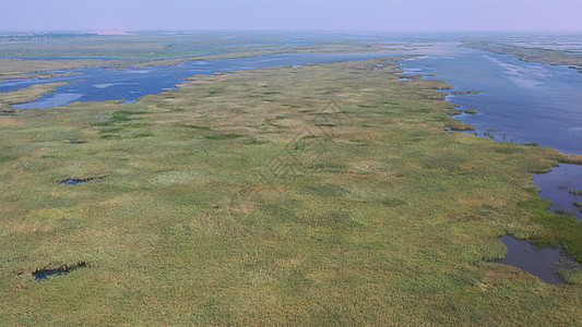 山东东营黄河口国家湿地5A景区图片