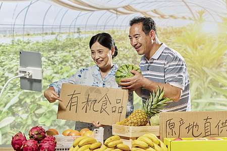 中国农民丰收节果农夫妻网络直播间售卖西瓜背景