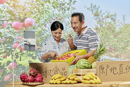 果农夫妻网络直播售卖有机水果图片