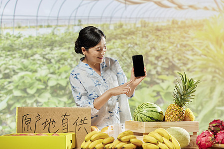 中国农民丰收节女性果农线上直播销售自己产水果背景