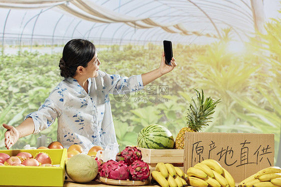 女农民手机直播售卖水果图片