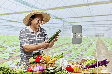 菜农线上直播销售蔬菜背景图片
