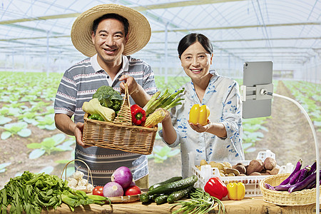 中国农民丰收节农民夫妇网络直播售卖蔬菜背景
